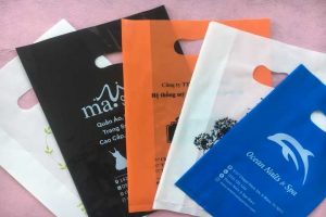 Đơn vị chuyên in túi ni lông Bình Dương