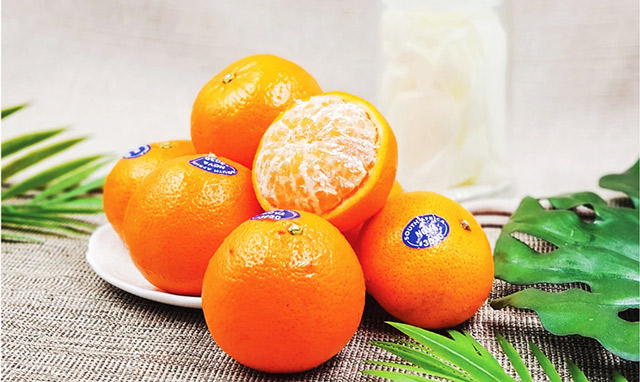 Tem dán trái cây là gì?